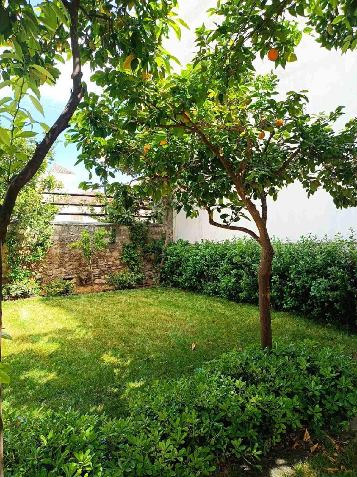 Вилла Betty'S Garden House Неа-Анхиалос Экстерьер фото